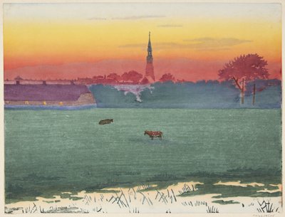 Koopstad in het moeras door Henriette Hahn Brinckmann