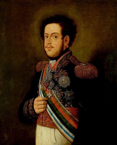 Portret van D. Pedro I door Henrique Jose da Silva