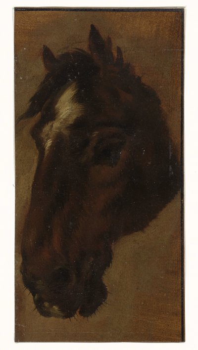 Paardenhoofd door Henriëtte Ronner