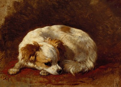 Een Vlinderhondje door Henriëtte Ronner Knip