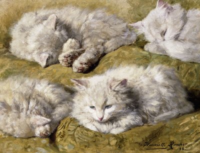 Studies van een langharige witte kat, 1896 door Henriëtte Ronner Knip