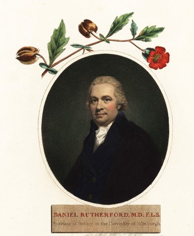 Portret van Daniel Rutherford, botanicus door Henry (after) Raeburn