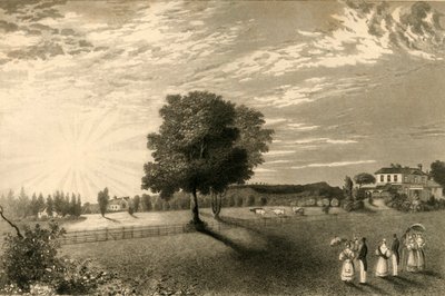 Sennicots door Henry Alexander Ogg