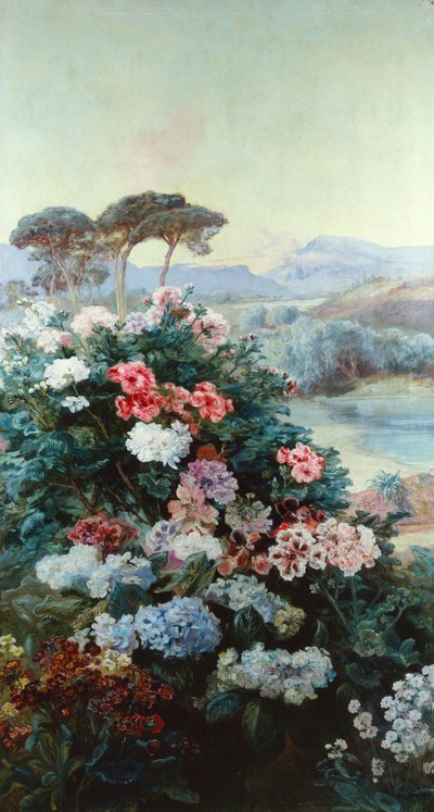 Camellia