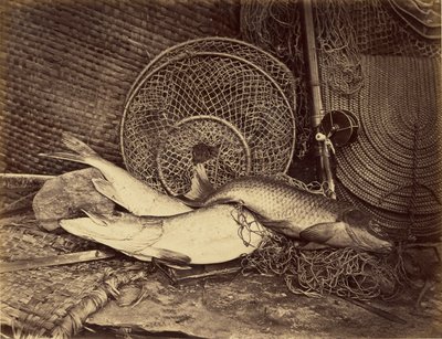 Stilleven met karper en snoek door Henry Bailey