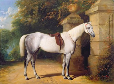 Een Grijs Paard bij Parkpoorten, 1851 door Henry Barraud