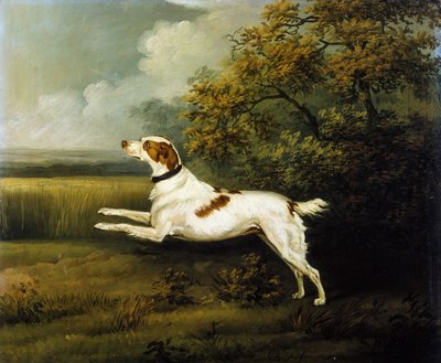 Een springerspaniël in een landschap door Henry Bernard Chalon