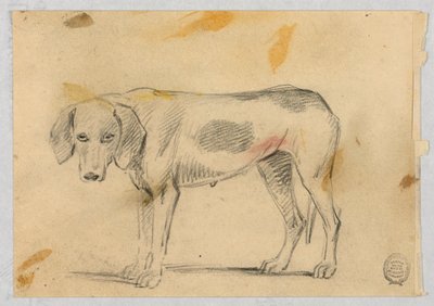 Studies van Twee Windhonden door Henry Bernard Chalon