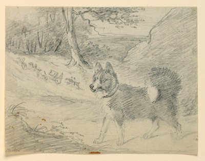 Studie van een Elkhond door Henry Bernard Chalon