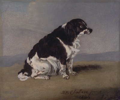 De Spaniel van de Hertogin van York door Henry Bernard Chalon