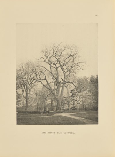 De Pratt Iep, Concord door Henry Brooks