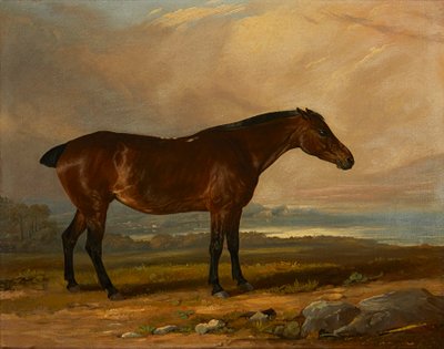 Studie van een baai jager in een landschap door Henry Calvert