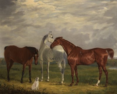 Drie paarden van de 2e Lord de Tabley en zijn hond, Vic door Henry Calvert