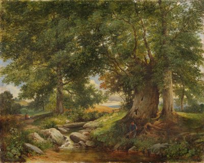 Een Forelbeek bij Worcester, 1866 door Henry Chaplin