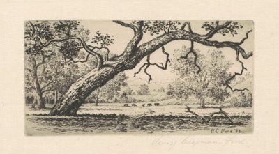 Californisch Landschap door Henry Chapman Ford