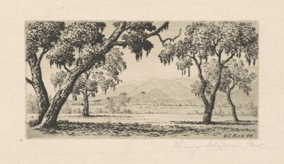 Californisch landschap door Henry Chapman Ford