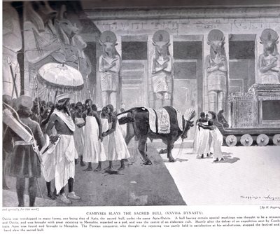Cambyses doodt de Heilige Stier, illustratie uit 