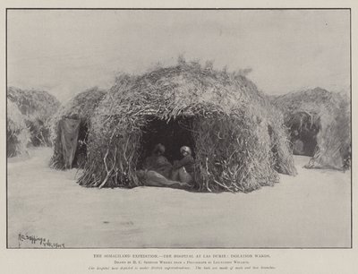 De Somaliland Expeditie, het Ziekenhuis in Las Durie, Isolatie Afdelingen door Henry Charles Seppings Wright