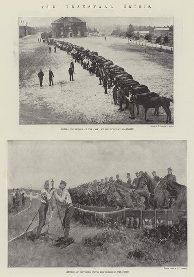 De Transvaal-crisis door Henry Charles Seppings Wright
