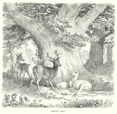  door Henry Courtney (after) Selous