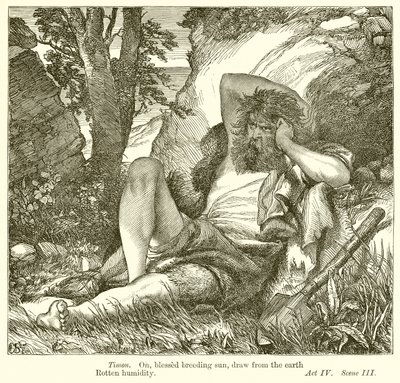 Timon van Athene door Henry Courtney Selous