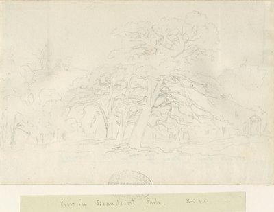 Beaudesert Park: potloodtekening, nd [1788-1855] door Henry Curzon Allport