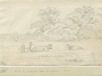 Lichfield - Uitzicht vanaf Aldershaw door Henry Curzon Allport