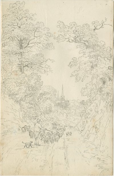 Lichfield Kathedraal - Zuidoost Uitzicht door Henry Curzon Allport