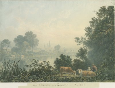 Lichfield Kathedraal - Uitzicht vanaf Aldershaw door Henry Curzon Allport
