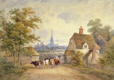 Kathedraal van Chichester, Sussex door Henry Earp