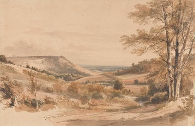 Boxhill vanaf Westhumble Lane door Henry Edridge