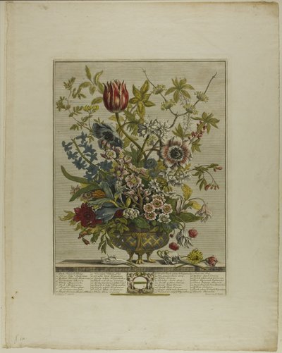 Februari, uit Twaalf Maanden van Bloemen door Henry Fletcher