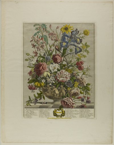 Juni, uit Twaalf Maanden van Bloemen door Henry Fletcher