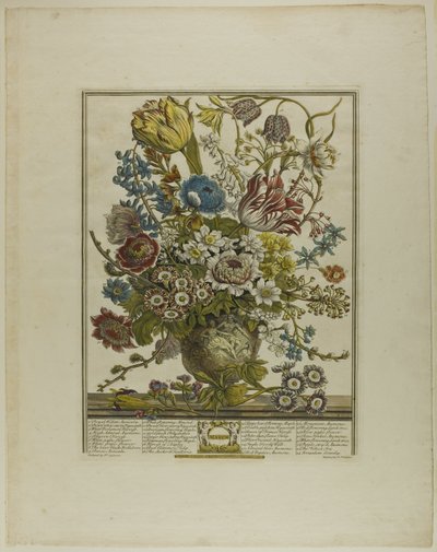 Maart, uit Twaalf Maanden van Bloemen door Henry Fletcher