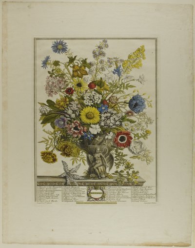 November, uit Twaalf maanden bloemen door Henry Fletcher
