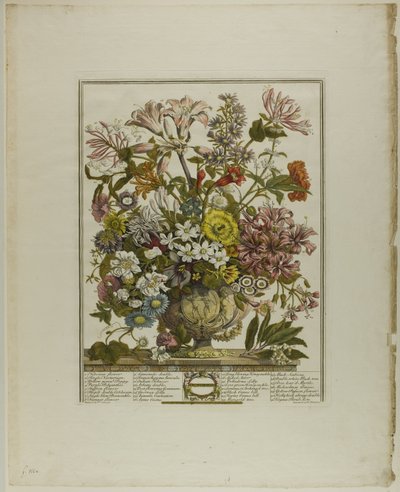 Oktober, uit Twaalf Maanden van Bloemen door Henry Fletcher