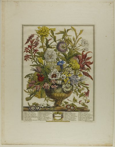 September, uit Twaalf Maanden van Bloemen door Henry Fletcher