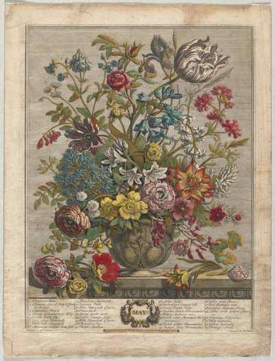 Twaalf Maanden van Bloemen: Mei door Henry Fletcher