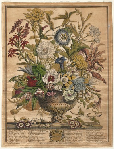 Twaalf Maanden van Bloemen: September, 1730 door Henry Fletcher