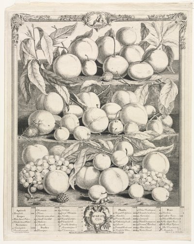 Twaalf Maanden van Fruit: Augustus door Henry Fletcher