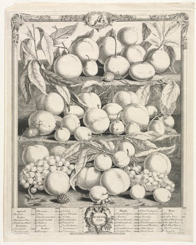 Twaalf maanden van fruit: augustus door Henry Fletcher