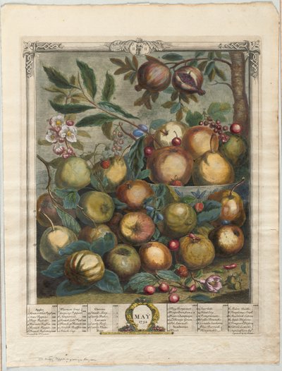 Twaalf maanden fruit:  Mei door Henry Fletcher