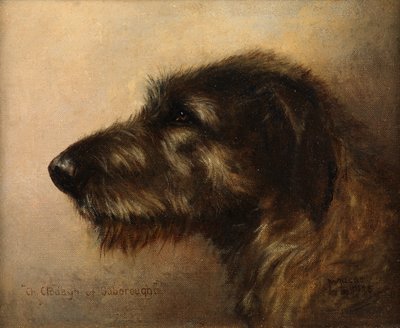 Kampioen Clodagh van Ouborough, een Ierse Wolfshond door Henry Frederick Lucas Lucas