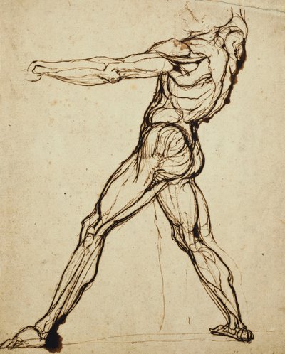 Een naakt werpend door Johann Heinrich Füssli