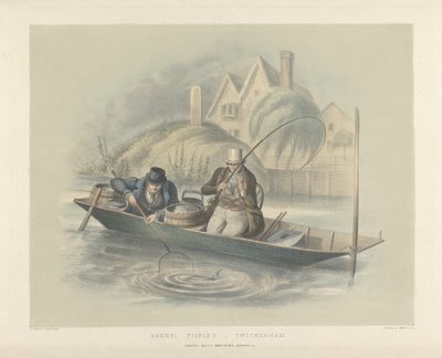 Barbeel vissen, Twickenham, uit een set van zes afbeeldingen van vissen door Henry Heath