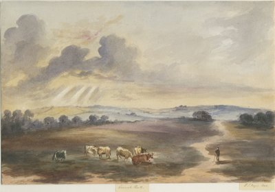 Cannock Chase - "Heide": aquarel door Henry James Noyes