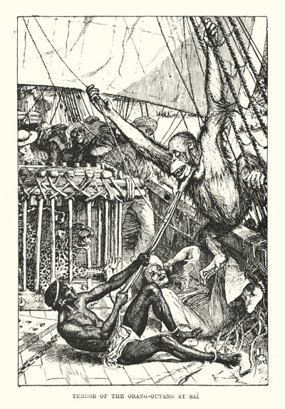 De schrik van de orang-oetang in Sai door Henry Justice Ford