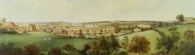Panoramisch uitzicht op Stoke on Trent door Henry Lark Pratt