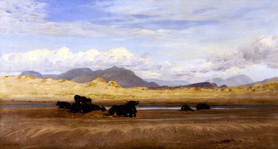 Kust van Noord-Wales, Vee aan het Zonnen op het Strand door Henry Moore