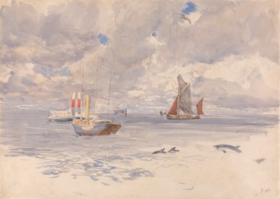 Bruinvissen, 7 juli 1883 door Henry Moore